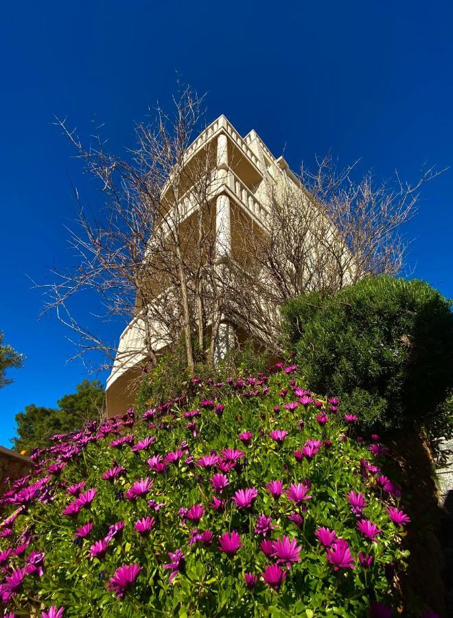 Hotel Villa Dzamonja 볼 외부 사진